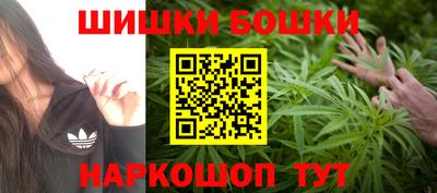 гашик Жуковский
