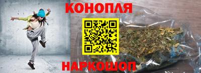 гашик Жуковский