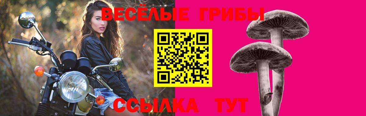 Псилоцибиновые грибы мицелий  где купить   Галлюциногенные грибы Cubensis  Минусинск  Вход с VPN 
